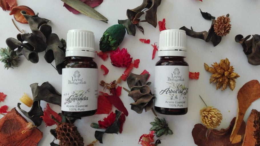 Aceites Esenciales De Calidad