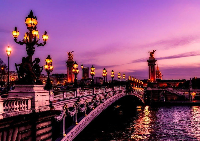 Descubre el Encanto de los Ambientadores Franceses con LivingBioEssentials.com