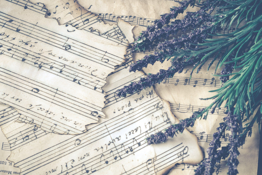 ¿Qué Relación Tiene La Música con los Aromas?