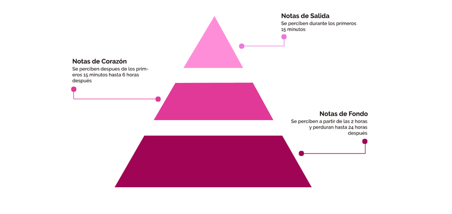 ¿De qué están compuestas las fragancias?